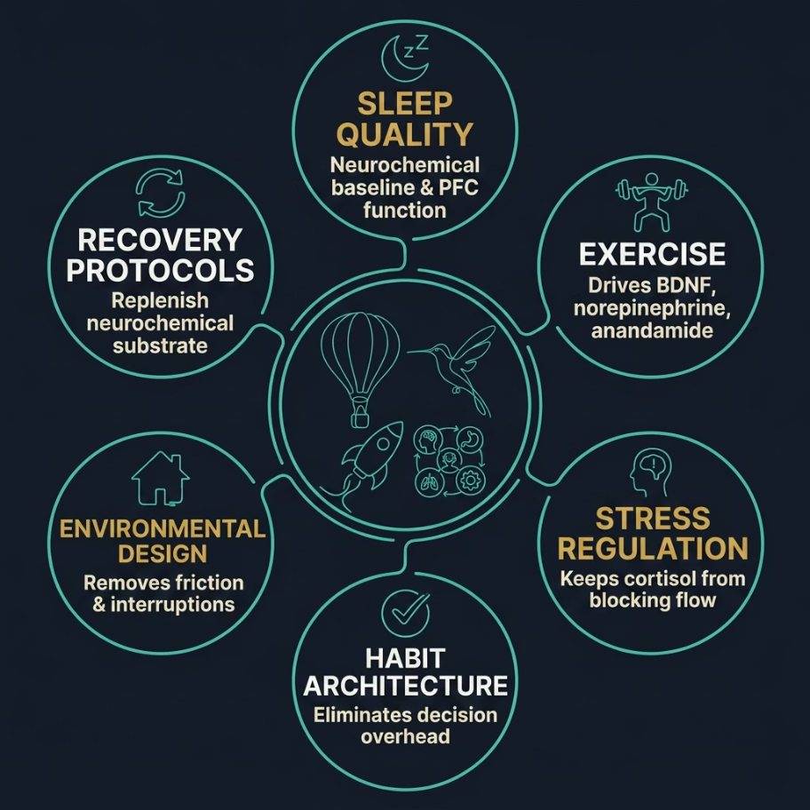 Flow within the NeuroGenerative performance systems framework
